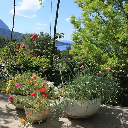 Vendégház And With Parking Space Tucepi, Makarska - 6901 3*